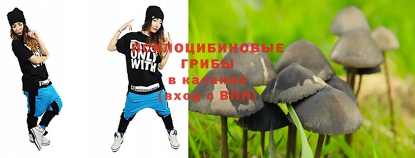 мескалин Горнозаводск
