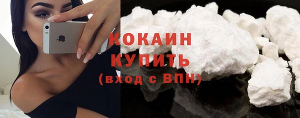 ГАЛЛЮЦИНОГЕННЫЕ ГРИБЫ Вяземский