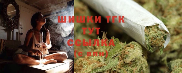 тгк Горно-Алтайск