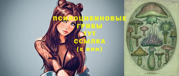 тгк Горно-Алтайск