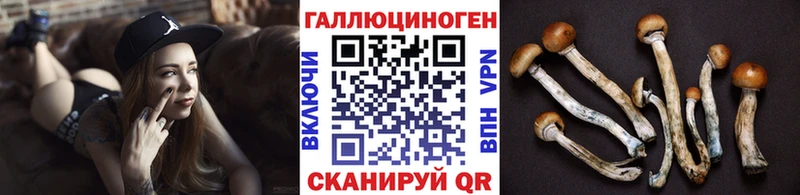 Галлюциногенные грибы прущие грибы  Железногорск-Илимский 